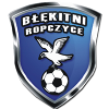 Blekitni Ropczyce