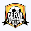 Cefor Promotora San Luis